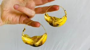 Fulani Gold Earrings. African. Huge Hoops